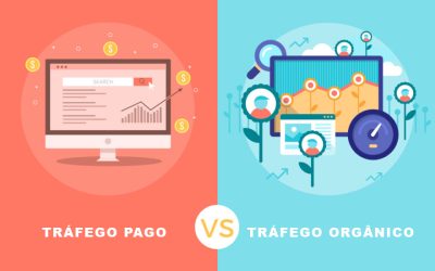 Blog 3 Trafégo pago ou orgânico? O que é? quais são as principais diferenças?