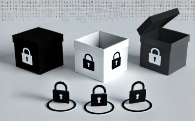 Blog 5 Tipos de Pentests: Black Box, White Box e Gray Box