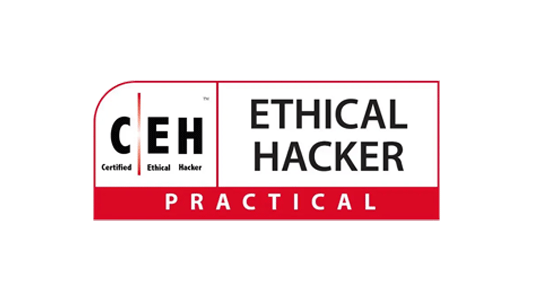 Pentest Profissional 24 ceh-ethical-hacker