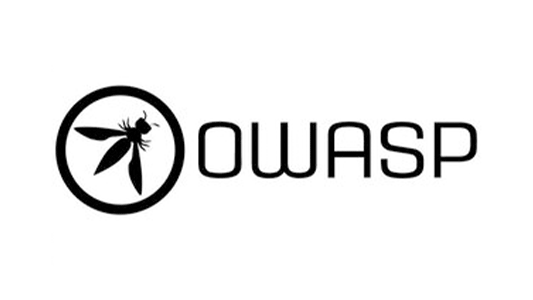 Pentest Profissional 16 owasp top 1 Pentest Profissional