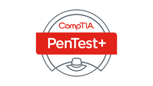 Pentest Profissional 19 comptia-pentest